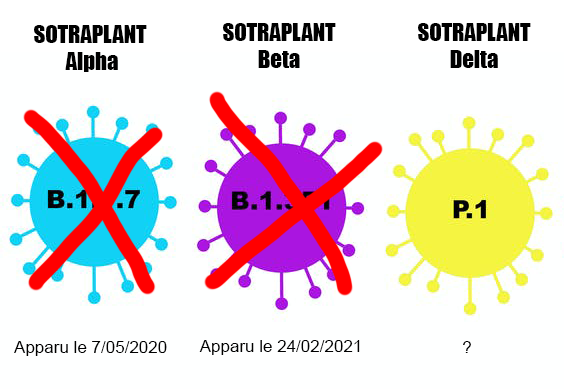 virus sotraplant